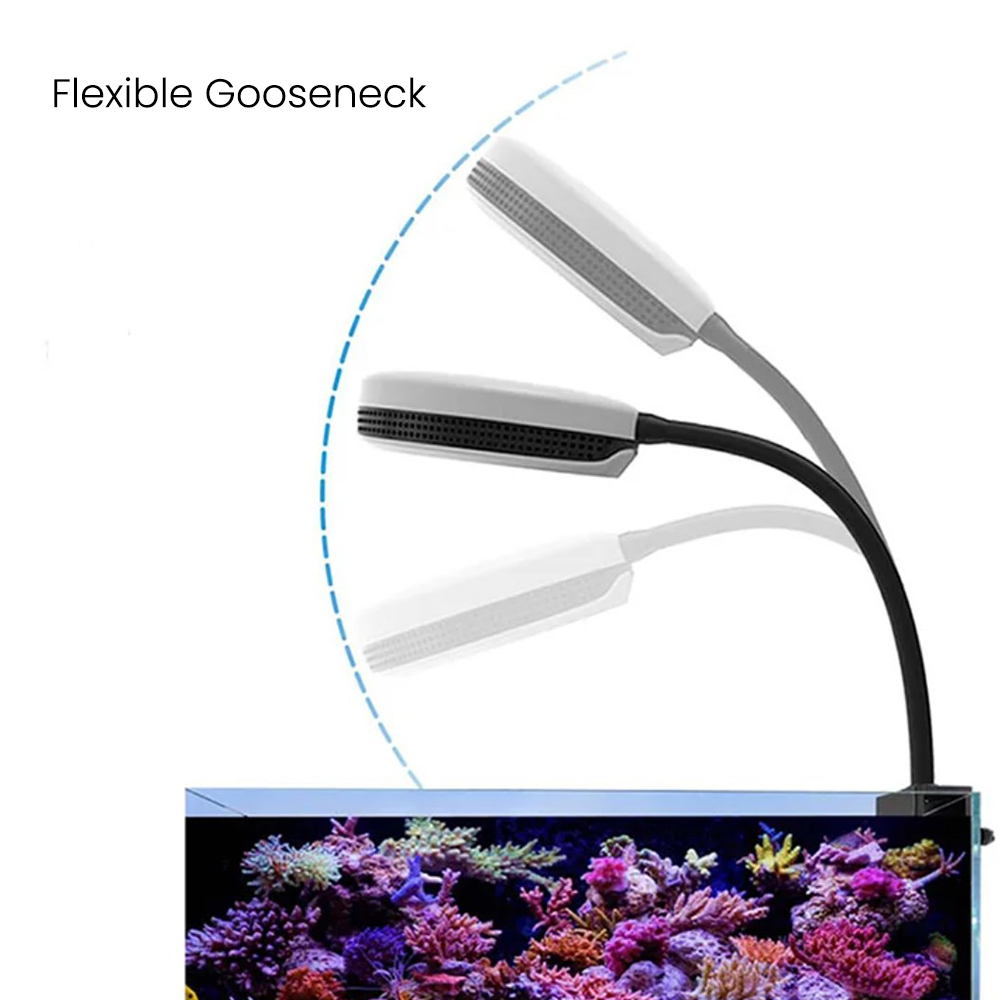 Spectra SP20 20W Aquarium LED  - Marine Coral review and price
