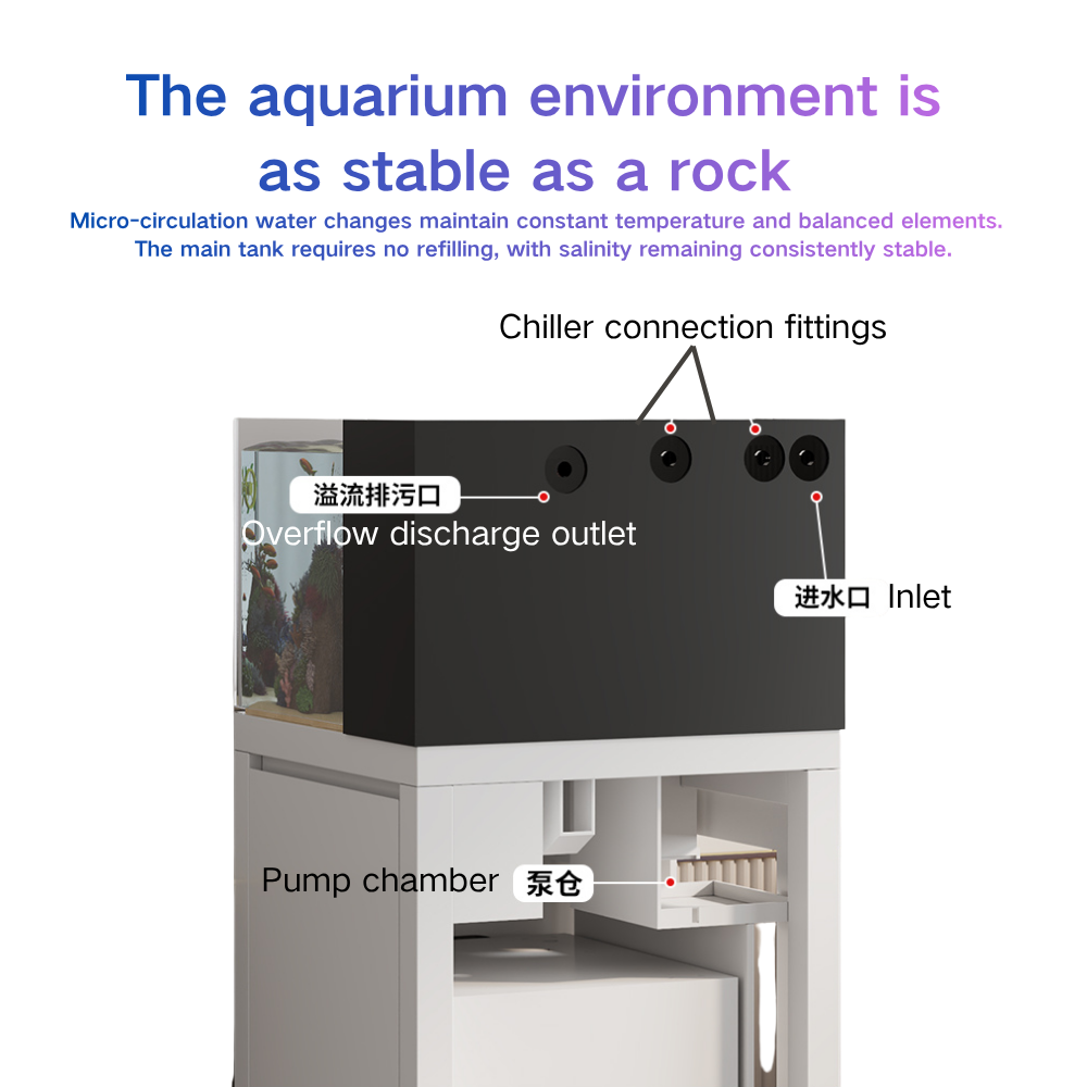 Smart Fish Tank Paopaoshark Au - Marine Aquarium Cube review and price