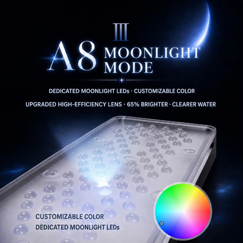 AIPAI A8 III Series A8SE/A8 Pr - Marine Coral review and price